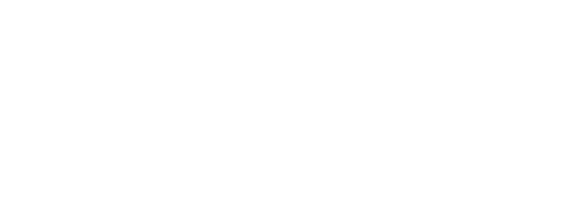 Salaam-HorizontalLogoRGB_MonoWhite